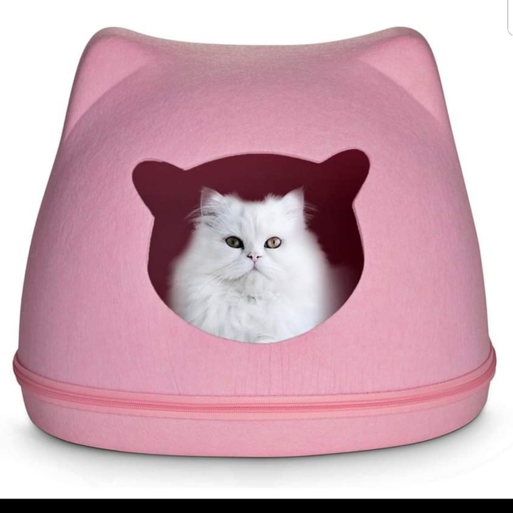 Cat bed